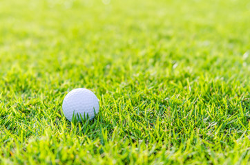 Golf ball on green grass