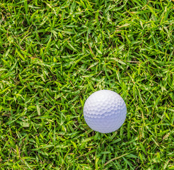 Golf ball on green grass