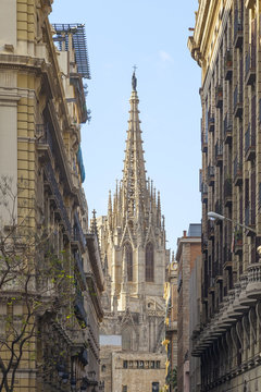 barcelona cathedral view