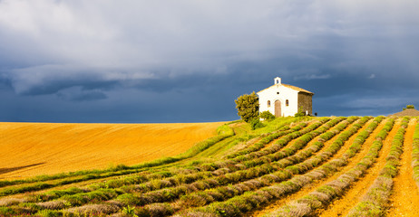 Fototapeta premium chapel with lavender field, Plateau de Valensole, Provence, Fran