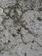 Concrete Texture 3