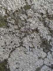 Concrete Texture 2