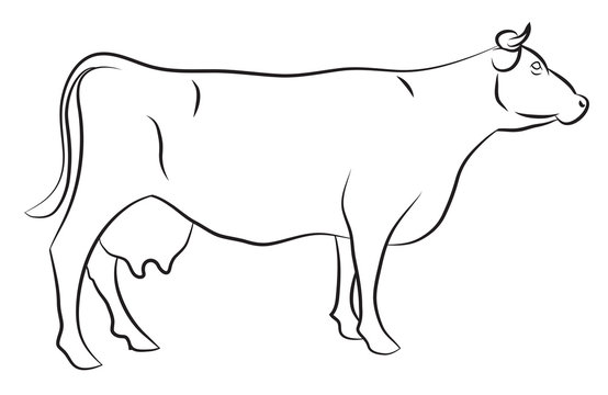 Cow sketch drawing | Cow sketch, Cow drawing, Drawings-gemektower.com.vn