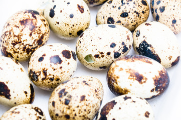 Obraz premium quail eggs