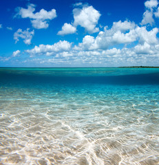 sea