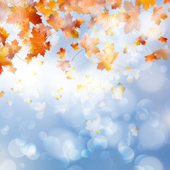 Autumn abstract background. EPS 10