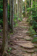 熊野古道