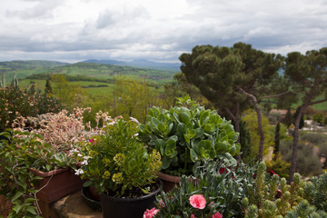 Pienza. Italy. Tuscan landscapes.