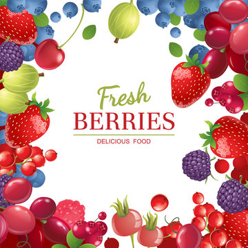 background with berries