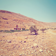 Ruins in Desert