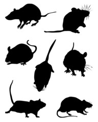 Black silhouettes of mouses,vector