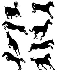 Black silhouettes of horses in jump, vector