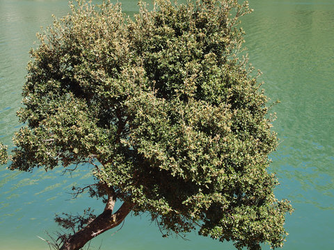 Mallorca - Embassament des Gorg Blau