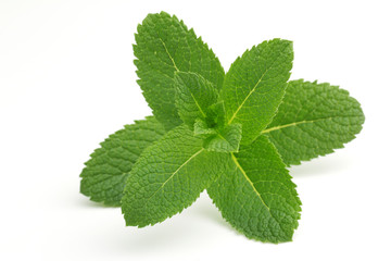 mint leaves © Paulista