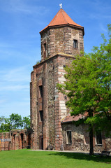 Zamek Toszek