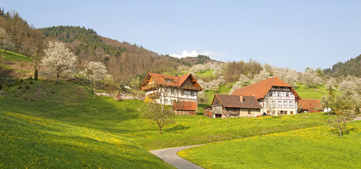 Fototapeta na wymiar Frühling im Renchtal, Schwarzwald