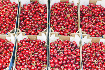 sweet red cherry background