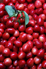 Cerezas Rojas