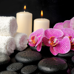 Beautiful spa concept of zen stones with drops, blooming twig of