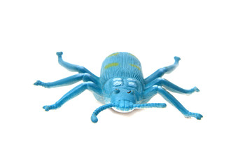 plastic beetle toy (bug)