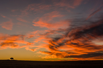 Clouds glowing red after the sun has set