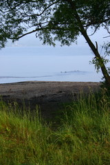 Widok na brzeg z odpływającymi kaczkami © profit111