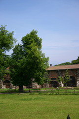 Drzewo i fragment budynku stadniny © profit111