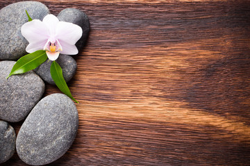 Fototapeta premium Orchid.