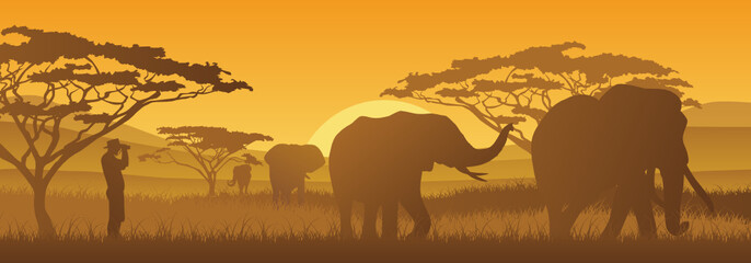 Elefanten unter Beobachtung © frilled_dragon