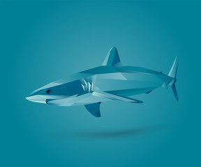 Fototapeta premium Fish - Shark
