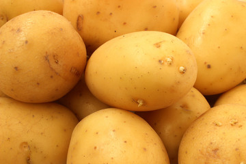 Potato tubers closeup