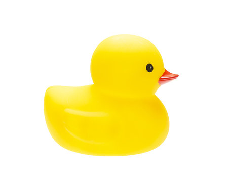 Yellow duck isolate on white background 