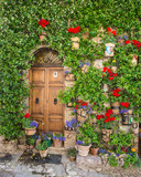 Elegante porta di legno con fiori