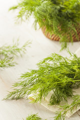 Organic Green Dill Herb