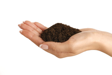 Brown soil in a beautiful female hand