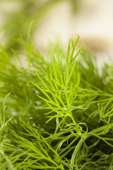 Organic Green Dill Herb