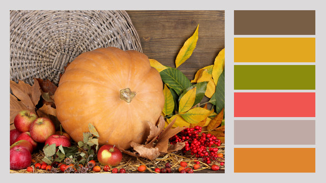 Autumn still life with pumpkin. Color palette with