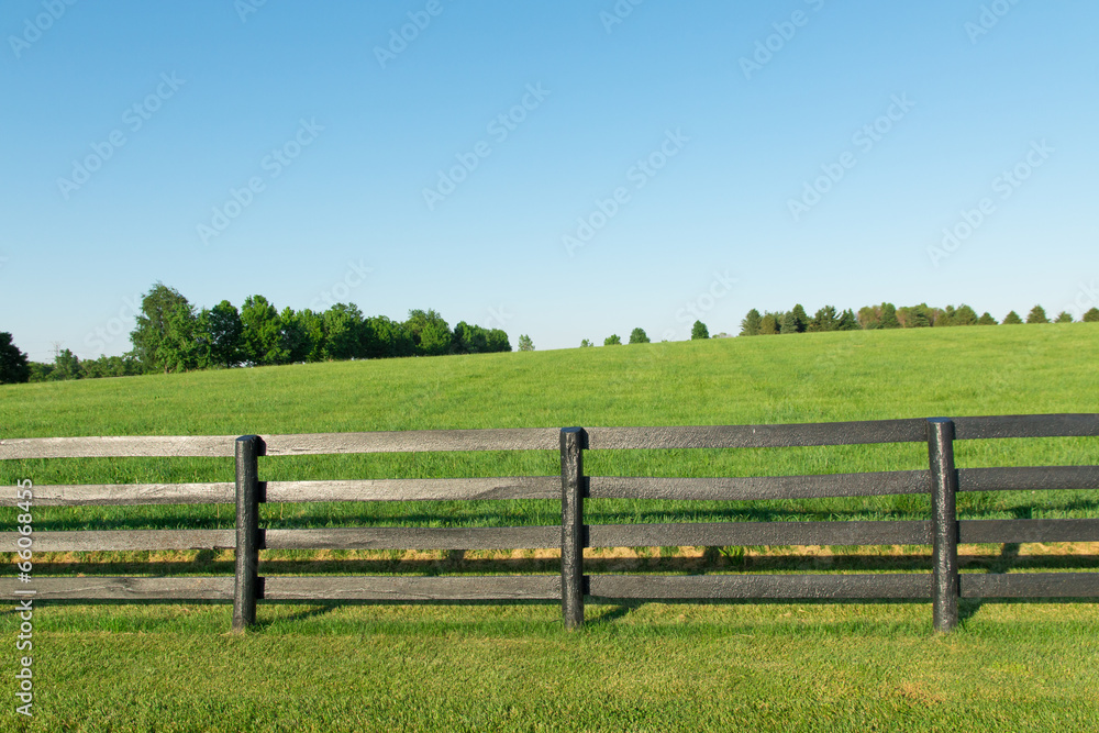 Wall mural countryside