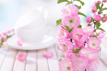 Beautiful fruit blossom in glass on table on light background