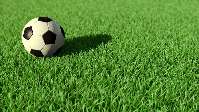 Soccer Ball Rolling On The Grass