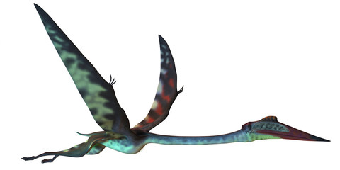 Quetzalcoatlus Profile © Catmando