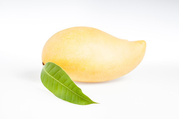 Yellow mango isolated on white background