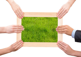 Frame with grass