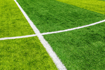 soccer field grass