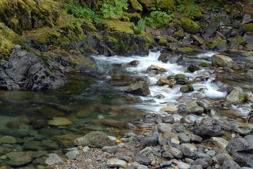 Cascade Mountain Stream