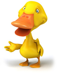 Duck
