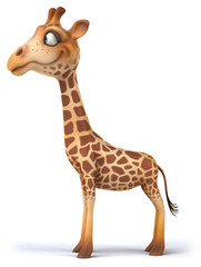 Fototapeta premium Giraffe