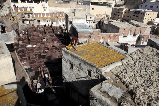 Tannery of Fez, Morocco