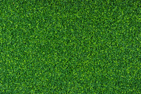 Green grass turf texture background