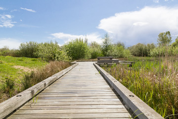 Obraz premium lake path.